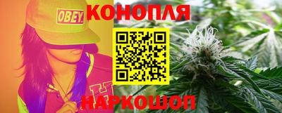 крисы Краснознаменск