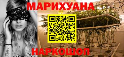 крисы Краснознаменск