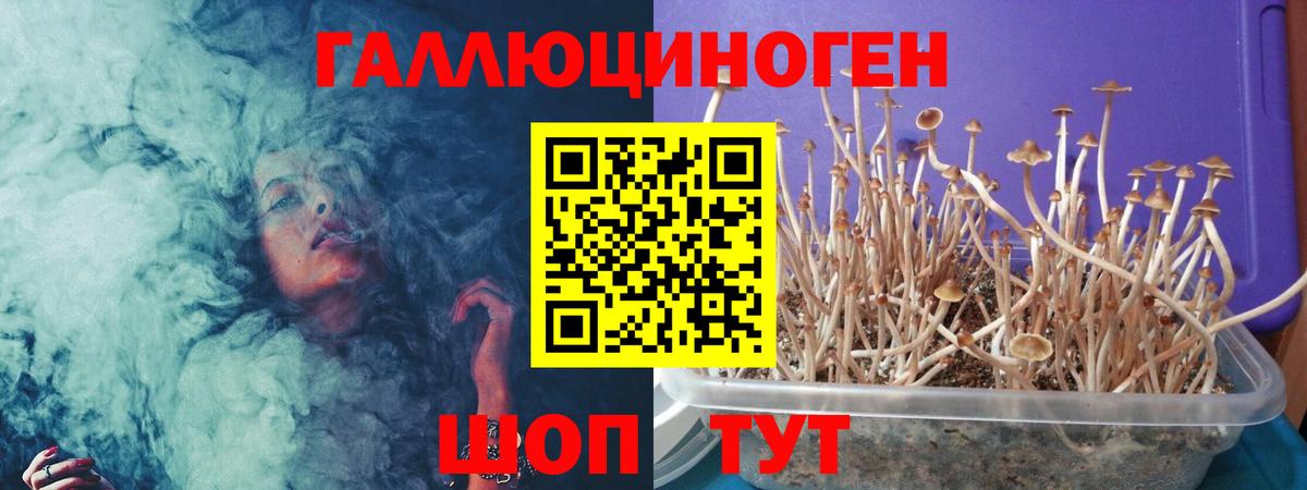 Галлюциногенные грибы Magic Shrooms  Вход с VPN  Иваново 